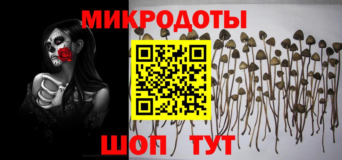 Галлюциногенные грибы прущие грибы Балтийск