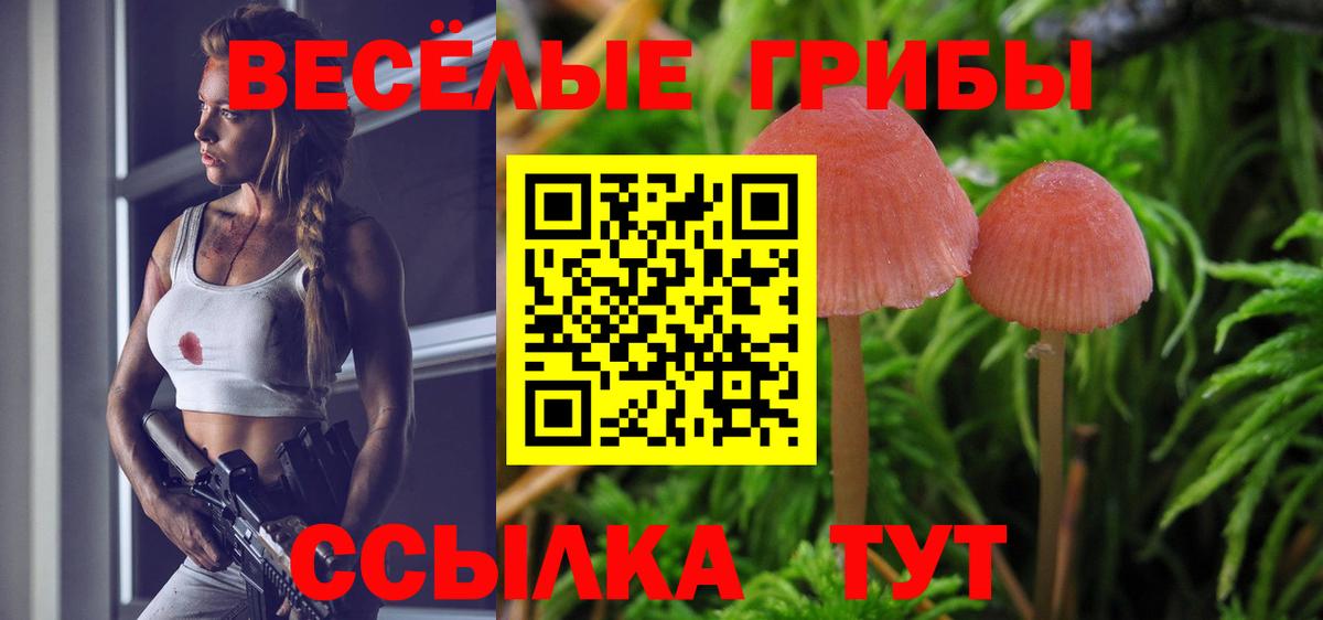 Галлюциногенные грибы мухоморы  Псилоцибиновые грибы Cubensis  Вход с VPN  Балтийск 